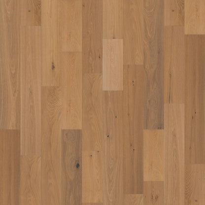 Central Euro Oak