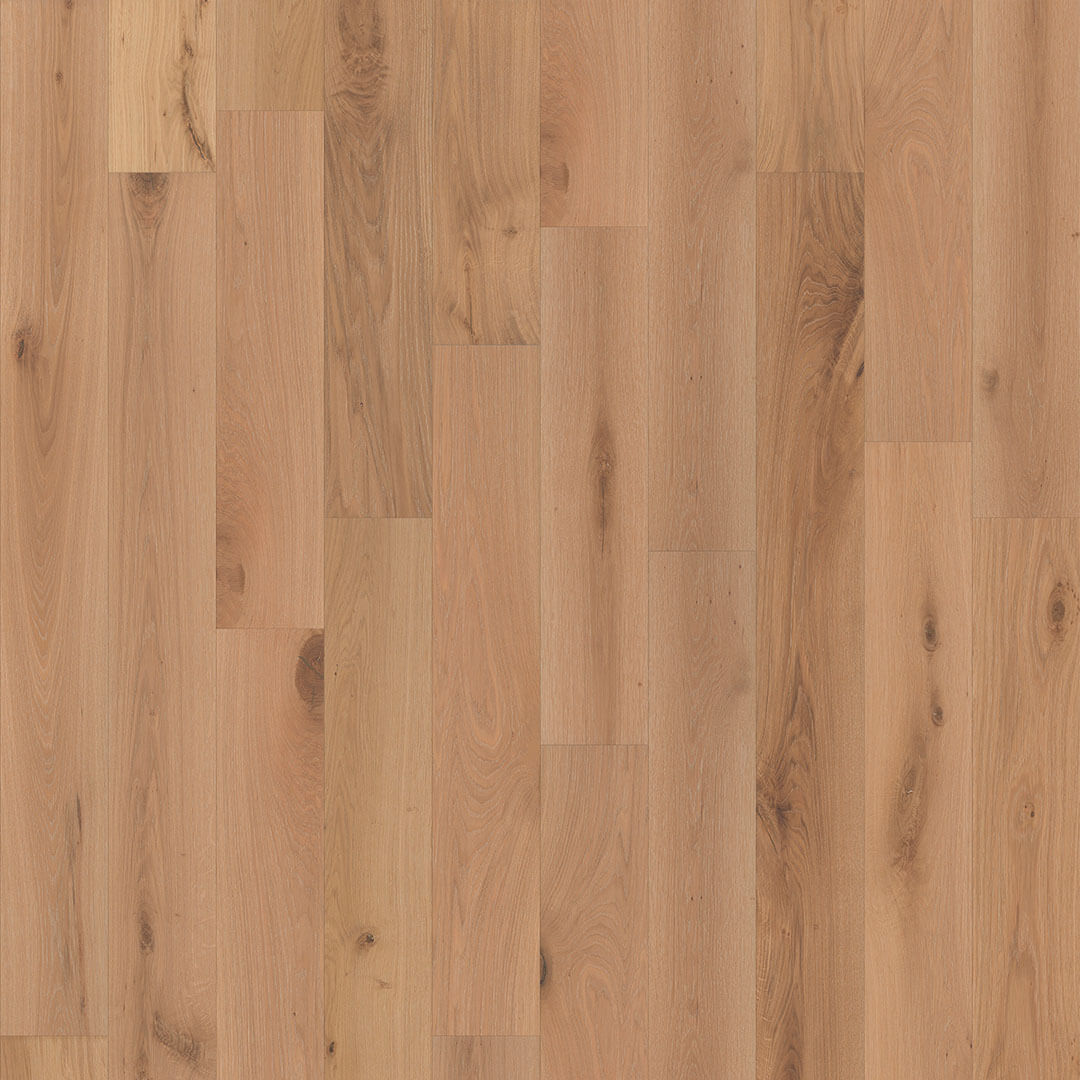 Sandbar Euro Oak